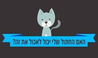 האם החתול שלי יכול לאכול את זה?