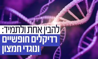 הסבר: מהם נוגדי חמצון ורדיקלים חופשיים, ואיך הם משפיעים על הבריאות?
