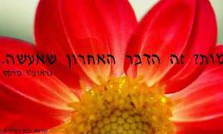 מחווה לגראוצ'ו מרקס - הומור עצמי!
