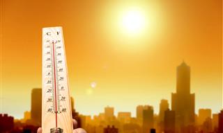 מחקר ישראלי חושף קשר בין טמפרטורות גבוהות וחום כבד להתרחשות דום לב
