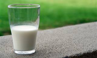 מחקר מצא קשר בין שתיית חלב לבין עלייה בסיכון ללקות בסרטן השד