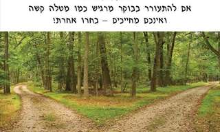 אוסף משפטים מקסימים על האמת הפשוטה