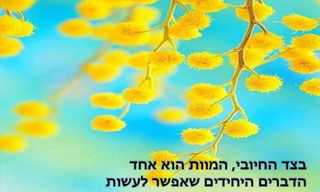 ציטוטים נבחרים של וודי אלן