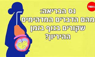 הסבר מרתק: מה קורה לגוף בזמן ההיריון?