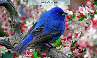אל לנו לקח את ברכת האלוהים כמובנת מאליה