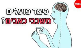 צפו וגלו כיצד פועלים משככי כאבים בגופינו...