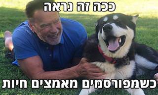 אנשים מפורסמים וחיות המחמד המאומצות שלהם