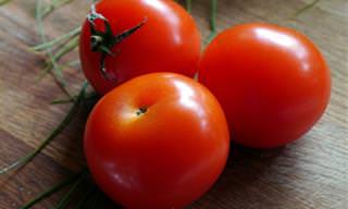 מדריך העגבניות שיעזור לכם לבחור בעגבנייה הנכונה למנה שלכם