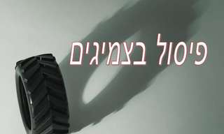 פיסול עם צמיגים!