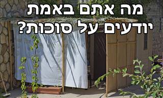 בחן את עצמך: עד כמה אתה מכיר את חג סוכות?