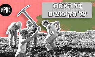 לידת הקיבוצים והשפעתה על ישראל - סיכום היסטורי פשוט ומרתק