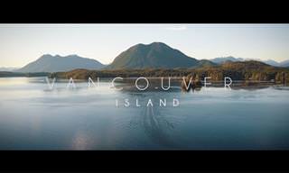 סרטון טבע מדהים של האי ונקובר