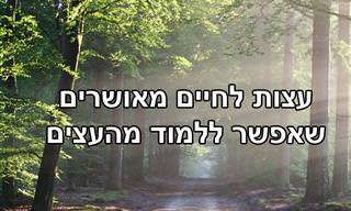 עצות לחיים טובים ומאושרים שאנחנו יכולים ללמוד מהעצים שסביבנו