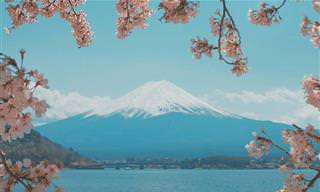 17 תמונות מדהימות שמציגות את יפן האותנטית