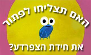 חידת הצפרדע