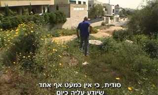 האוצרות הארכאולוגיים של גוש דן