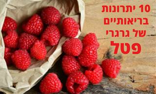 10 יתרונות בריאותיים של פטל – אדום ושחור