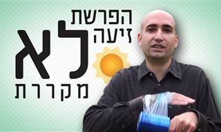 איך הזיעה מקררת את הגוף ומה החשיבות שלה?
