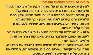 5 מרכיבים שמדגישים את כל הטוב שבסיבים!
