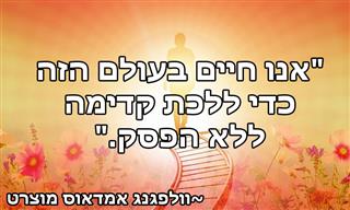 14 ציטוטי מוזיקאים ומלחינים מעוררי השראה