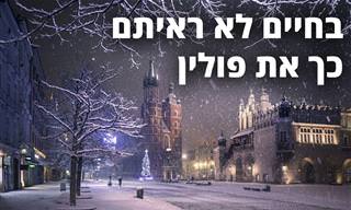 17 נופים מדהימים מרחבי פולין