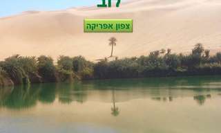 פנינת צפון אפריקה - ההיסטוריה והנופים של לוב