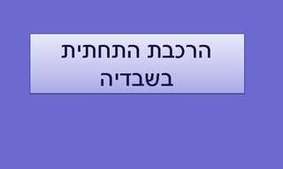 מתי גם אנחנו נתפאר ברכבת תחתית?