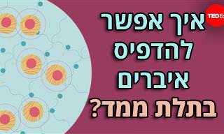 הדפסת איברים – איך זה עובד?