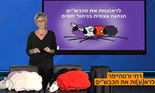 הרצאה על מנהיגות עצמית, ניהול יחסים ושליטה על התגובות שלנו