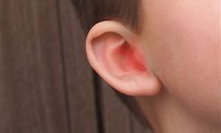 6 טיפולים טבעיים לדלקת אוזניים שכדאי להכיר