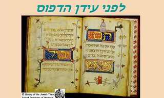 הגדות פסח היסטוריות - מדהים!