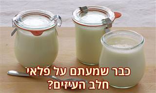 8 יתרונות בריאותיים של חלב עיזים ומתכון ללאבנה פשוטה וטעימה