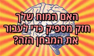 בחן את עצמך: עד כמה המוח שלך יעיל בעיבוד מידע?