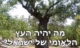 הכירו את המתמודדים בתחרות 