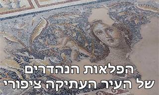 צאו לטיול בציפורי היפה - אחד מהיישובים העתיקים המרשימים בארץ!