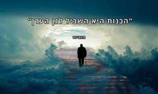 13 ציטוטים של גדולי הפילוסופים הסיניים בכל הזמנים