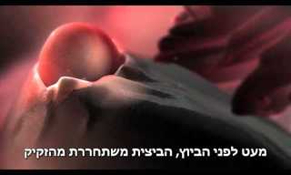 מה קורה לגוף במהלך ביוץ?