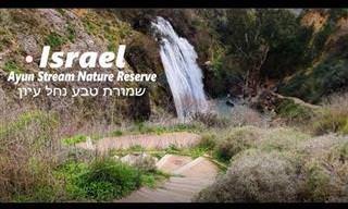 סיור נפלא בשמורת נחל עיון היפה בלי לצאת מהבית