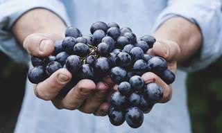 כל מה שצריך לדעת על היתרונות הבריאותיים של הענבים