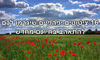16 ציטוטים נפלאים שיגרמו לכם להתאהב בחייכם מחדש
