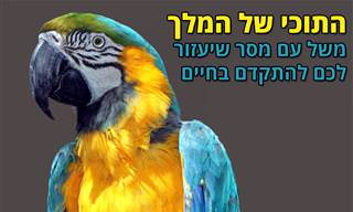 משל התוכי של המלך