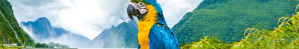 signup_header