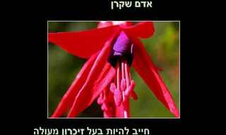 ברכות מקסימות ליום האהבה - במיוחד בשבילך!