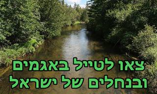 מפה אינטראקטיבית שתיקח אתכם ל-15 נחלים ואגמים יפים בישראל