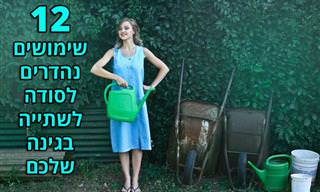 12 שימושים לאבקת סודה לשתייה בגינה