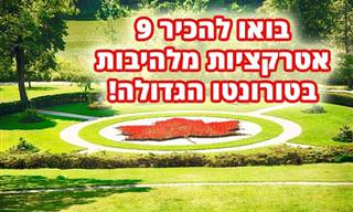 9 האטרקציות המומלצות בטורונטו