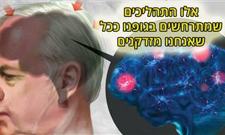 המדע שמאחורי ההזדקנות - מדריך אינפוגרפי