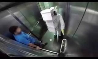 דבורים במעלית - מתיחה קורעת מצחוק