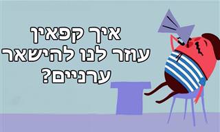סרטון הסבר: איך קפאין משפיע על המוח והגוף?