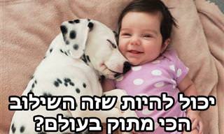 ילדים קטנים וכלבים - יכול להיות שזה השילוב הכי מתוק בעולם?